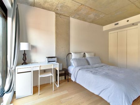 1406 Rue Ste Élisabeth, Montréal (Ville-Marie), QC H2X - Photo 5