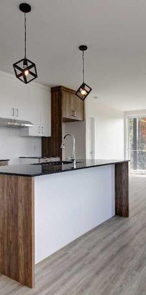 Spacieux 3 1/2 à louer à Sherbrooke - Photo 1