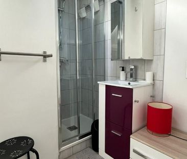 Location Appartement 1 pièce 14m² GRENOBLE 38000 - Photo 4