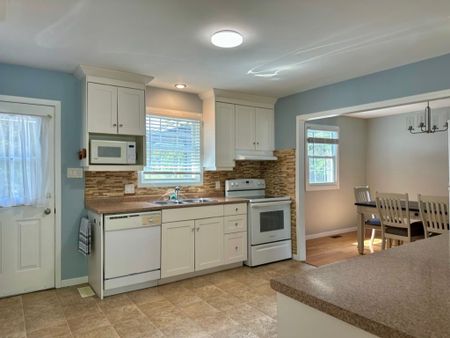 For Lease - 207 Christopher Street, Clearview, Ontario - Photo 5