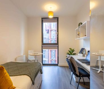 Premium Plus Studio - Photo 4