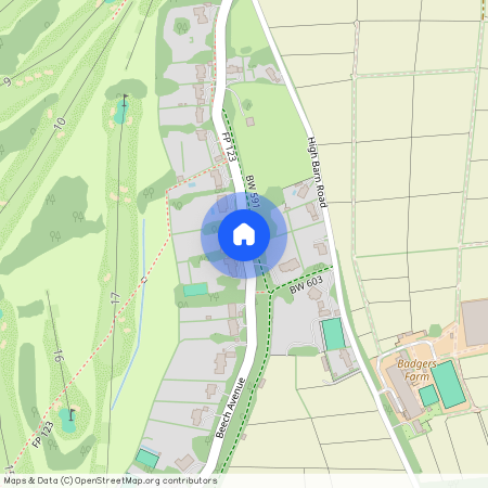 Beech Avenue, Leatherhead, KT24