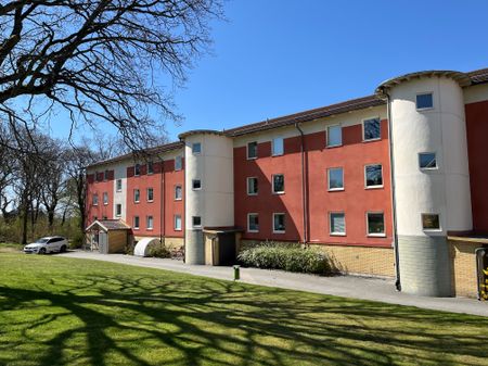 Tingsvägen, Lyckeby - Photo 5