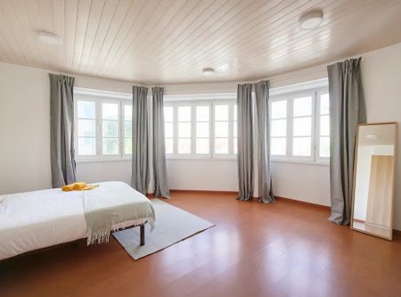 Rua Alexandre Herculano, Lisbon, Lisbon 1150-005 - Photo 4