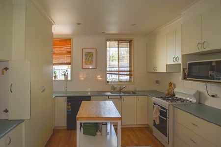 Pet-Friendly Spacious Family Home - Photo 4