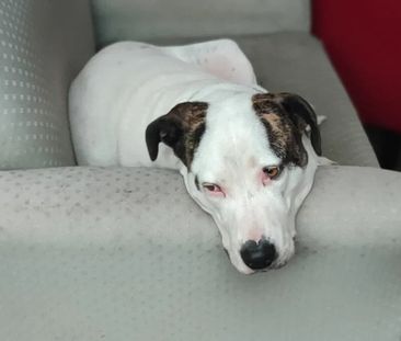 Glen Waverley - Photo 5