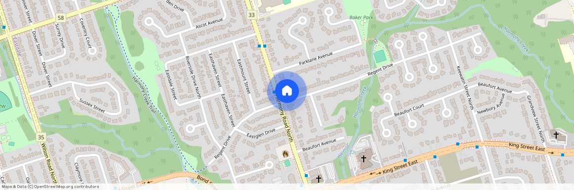 113 Harmony Road Unit# (Lower), Oshawa