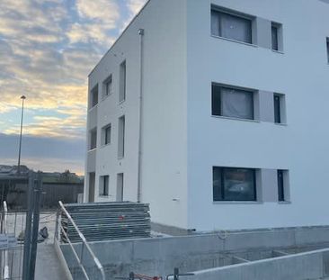 2.5 Zimmer, EG - Photo 4