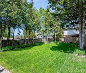 For Lease - 29 Jeanette Street Unit# Main, Toronto, Ontario - Photo 4