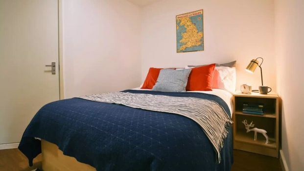 Classic Bigger - Studio - Photo 1