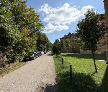 Helle 2-Zimmerwohnung im 23.Wiener Gemeindebezirk zu vermieten - Photo 3
