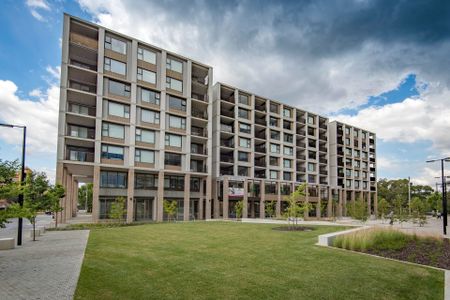 306/21 Challis Street, Dickson ACT 2602 - Apartment For Rent | Domain - Photo 4