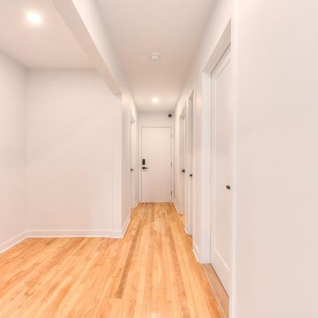 ✨ 3 ½ Rénové au Sous-sol dans le Nouveau-Rosemont – Disponible Maintenant ! ✨ - Photo 4