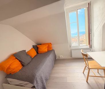 Location Appartement 1 pièce 12m² EVIAN LES BAINS 74500 - Photo 5