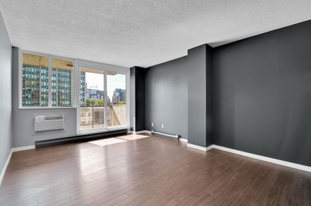 For Lease - 154 Nelson Street Unit# 501, Lower Town - Sandy Hill, Ontario - Photo 4