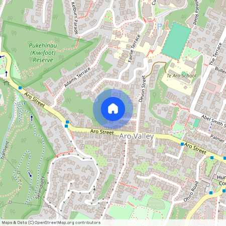 2/21 Essex Street, Aro Valley, Wellington