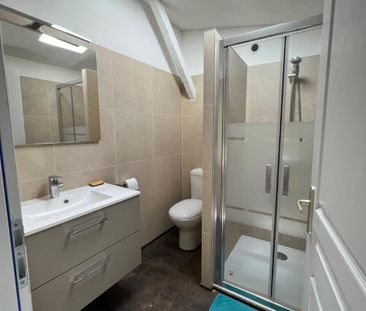 Location Appartement 2 pièces 61m² ALBI 81000 - Photo 4