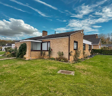 2 bedroom detached bungalow to rent - Photo 3