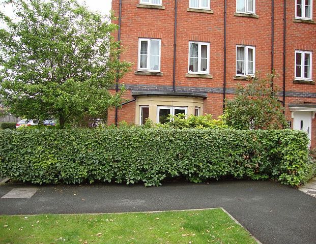 Rylands Drive, Warrington, WA2 7DY - Photo 1