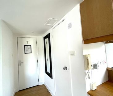 Studio Flat, Cartwright Gardens, WC1H - Photo 6