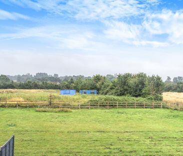 2 bedroom cottage to rent - Photo 4