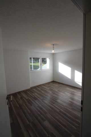 EG 4.5 Zim.-Wohnung modernes frisch saniertes Gebäude mit Terrasse in Birrwil - Photo 4