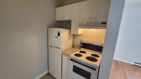 For Lease - 185 Dalhousie Street, Lower Town - Sandy Hill, Ontario - Photo 2