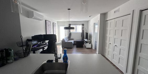 3 ½ NEUF 2025 - Photo 3