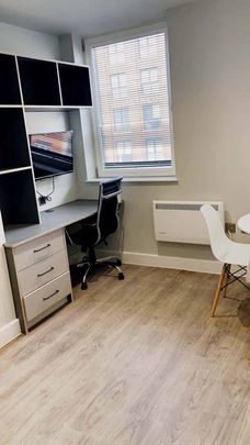 Large Premier Studio - Photo 1