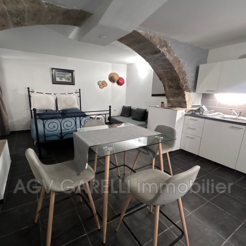 Location Appartement 1 pièce 26m² HYERES 83400 - Photo 1