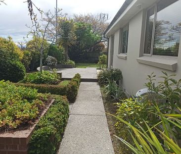 Sunny, warm 3 bedroom home on Cashmere hill - Photo 2
