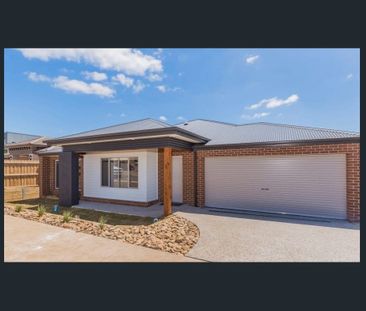 6 Katelyn Court, WAURN PONDS VIC 3216 - Photo 3