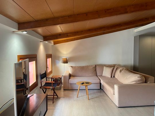 ALQUILER MENSUAL a partir de julio 2026 Loft con terraza comunitaria, casco antiguo - Foto 1