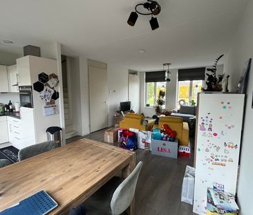 De Groos - Photo 2