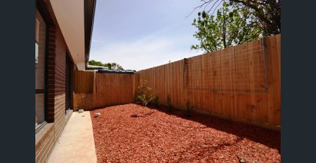 Spacious and light filled living - Photo 4