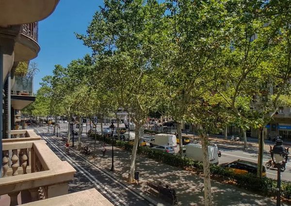 Gran Via de les Corts Catalanes, Barcelona, Catalonia 08007