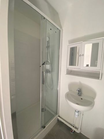 Location Appartement 1 pièce 21m² LYON 7ème - Photo 5