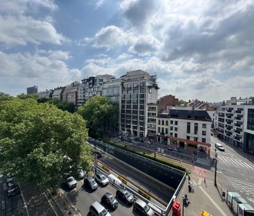 Avenue Louise, 1050, Ixelles - Photo 5