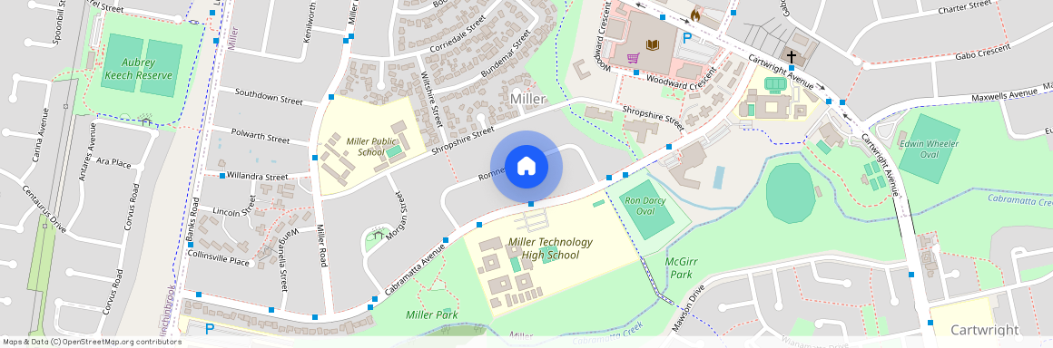 28 Romney Crescent, NSW 2168, Miller