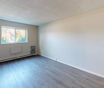 One Bedroom Apartment - Photo 5