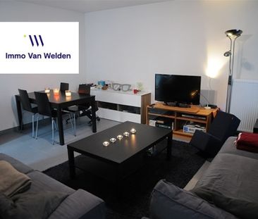 Gerenoveerd beluikhuisje in het centrum van Oudenaarde - Photo 1