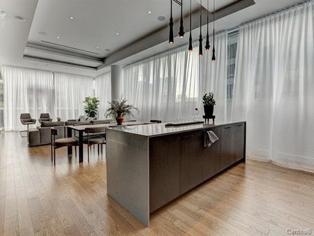 720 Rue St Jacques, Montréal (Ville-Marie), QC H3C - Photo 3