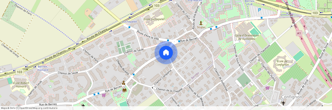 1233, Bernex, Chem. de Sur-Beauvent, 37