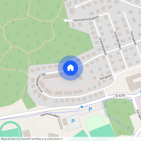 Prins Wilhelms väg, Flen