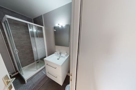 T1 BIS DUPLEX MEUBLEE / NANTES - Photo 4