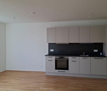 *** Noch eine 3-Zimmer-Wohnung frei - Neubauprojekt Anton-Bruckner-Str. 3 und 5/Veilchenweg 4, Hörsching *** - Foto 3