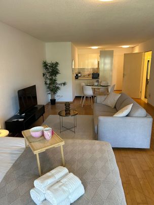 Neugasse 83 – Stylish Newly Furnished Studio in the Heart of Zurich! - Photo 1