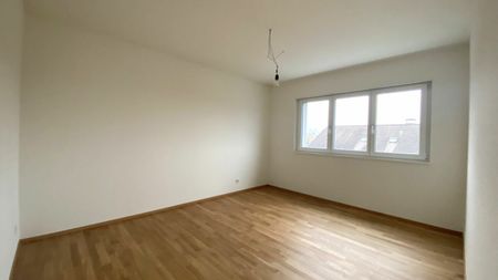 Steinlerweg, Frenkendorf - Foto 4