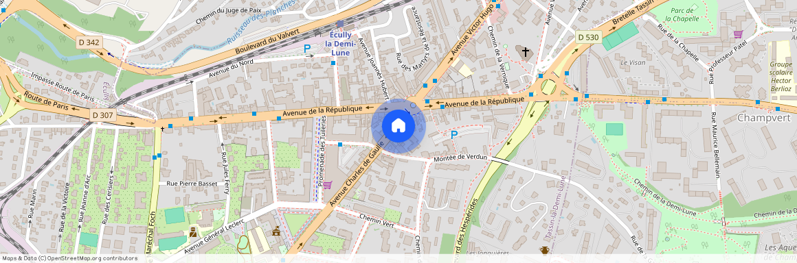 91 AVENUE CHARLES DE GAULLE, TASSIN LA DEMI LUNE La-Raude
