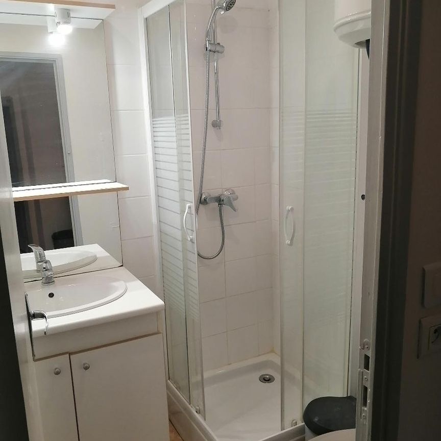 Location Appartement 1 pièce 19m² ALBI 81000 - Photo 1